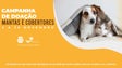Funchal lança campanha de doação de cobertores para animais do canil (áudio)