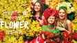 Festa da Flor com 85% de ocupação hoteleira