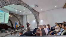 Imagem de Associação Portuguesa de Gestão de Projetos quer criar um polo na Madeira (áudio)