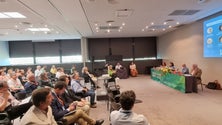 Imagem de Ministra da Coesão Territorial elogia políticas ambientais da Madeira (áudio)