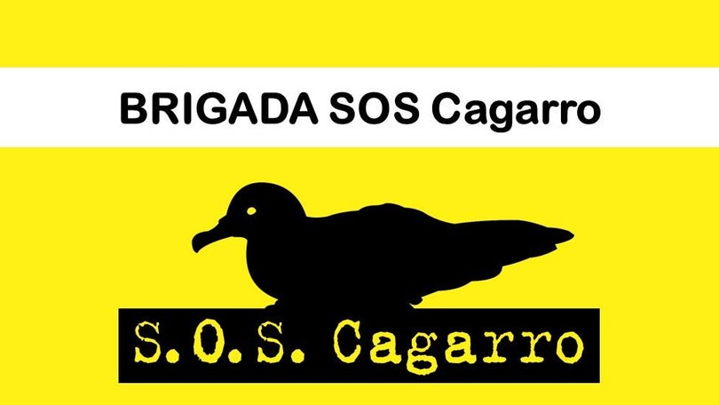 Imagem de Salvar cagarros