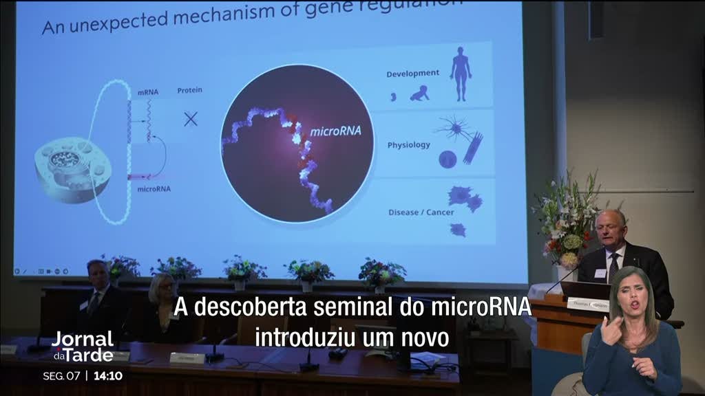 Nobel da Medicina. Distinguida a descoberta da molécula do micro-ARN