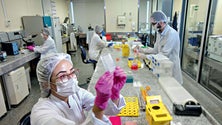 Imagem de Covid-19: Mais de 300 tratamentos em estudo ou em ensaios clínicos