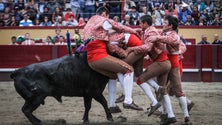 Imagem de Sebastián Castella é cabeça de cartaz da feira taurina de São João 2019 (Vídeo)