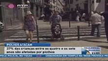 Imagem de Piolhos atacam mais no verão