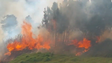 Incêndio na Maloeira ameaça habitações (vídeo)