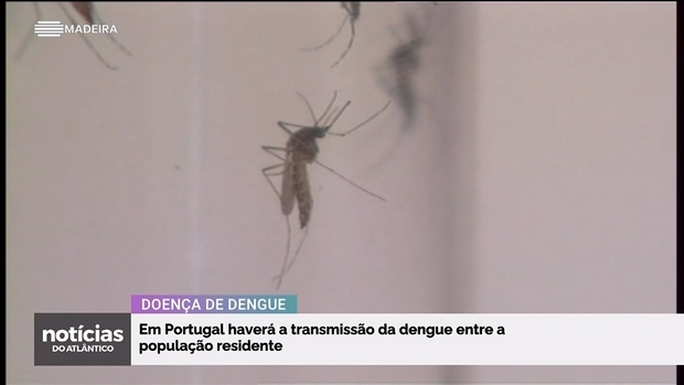 Sociedade
