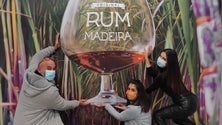 Rum da Madeira no Museu 3D Fun Art