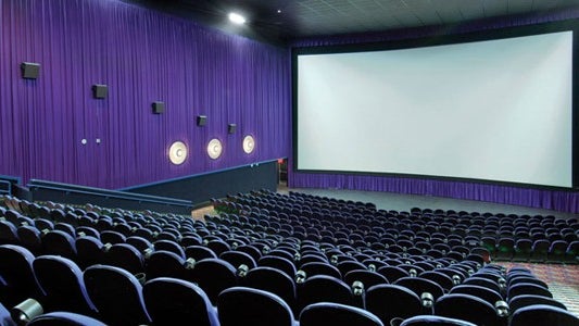 Imagem de Pandemia fez cair número de sessões, espetadores e receitas nos cinemas da Região