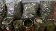 Imagem de Consumo de drogas irá reduzir na Europa
