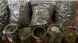 Imagem de Consumo de drogas irá reduzir na Europa