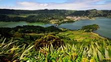 Mais de meio milhão de euros para beneficiação de caminho rural nas Sete Cidades, em São Miguel [Vídeo]