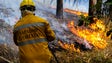 Imagem de Mais de mil operacionais combatiam 13 fogos ativos em todo o país às 07h00
