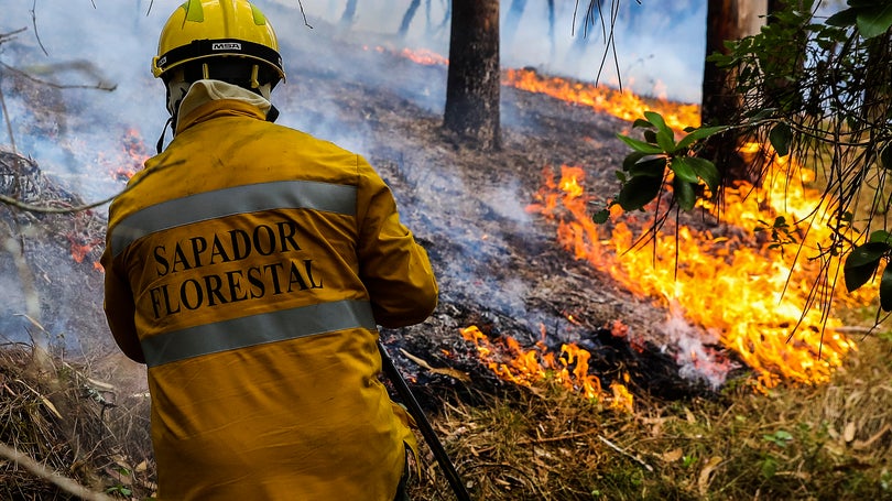 Mais de mil operacionais combatiam 13 fogos ativos em todo o país às 07h00