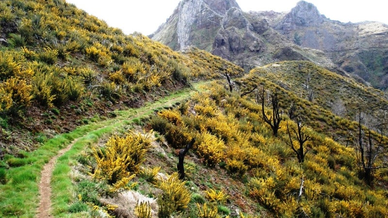 Bombeiros procuram casal de estrangeiros perdido nas serras da Madeira