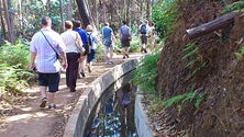 Imagem de Instituto das Florestas lembra normas de segurança para os passeios a pé (Vídeo)