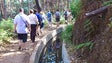 Imagem de Instituto das Florestas lembra normas de segurança para os passeios a pé (Vídeo)
