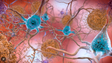 Imagem de EUA autorizam novo tratamento para doença de Alzheimer