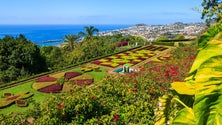 Jardim Botânico da Madeira tem 50 novas plantas (Áudio)