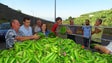 Imagem de JPP denuncia `falta de palavra do governo` no pagamento dos apoios aos agricultores