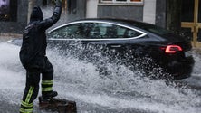 Imagem de Mau tempo: Quase 500 ocorrências em Portugal continental até às 16h00