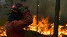 Imagem de Incêndios na Madeira levam Europa a repensar regras de apoio às catástrofes
