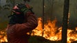 Incêndios na Madeira levam Europa a repensar regras de apoio às catástrofes