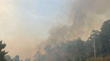 Imagem de Fogo já chegou ao Amparo na Ponta do Pargo (vídeo)