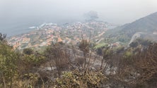 Incêndios obrigam a avaliação da encosta sobre estrada regional no Porto Moniz (áudio)