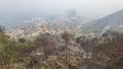 Incêndios obrigam a avaliação da encosta sobre estrada regional no Porto Moniz (áudio)