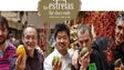 Imagem de Produtos madeirenses estreiam Rota das Estrelas 2017
