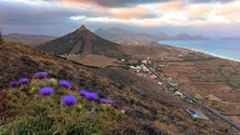 Imagem de Porto Santo recebe o galardão de Reserva da Biosfera da UNESCO esta quarta-feira (Áudio)