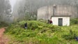 Imagem de Populares limpam a Levada da Fonte do Folhado (vídeo)