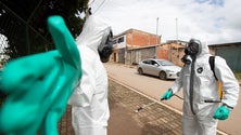 Imagem de Portugueses na África do Sul sentem a nova variante como um «terramoto»