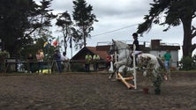 Imagem de Associação Hípica da Madeira organizou o evento “Friend Forever”