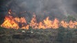 Imagem de 80 concelhos em risco máximo de incêndio