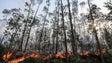 Madeira com risco extremo de incêndios