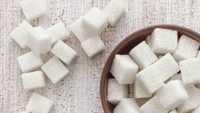 Época do açúcar é tema para exposição em Machico