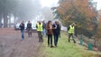Imagem de Madeira limpou 55 hectares de terreno e plantou 25 mil novas plantas
