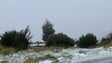 Neve pintou de branco o Pico do Areeiro (Vídeo)