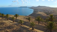 Porto Santo prepara-se para enchente de Verão (vídeo)