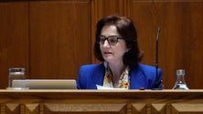 Imagem de Ministra admite imperfeições no financiamento das instituições de ensino superior