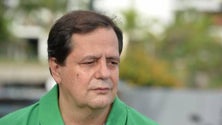 Imagem de PAN quer proibir as touradas, corridas de galos e o transporte de animais na Europa