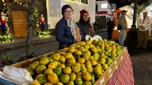 Festas de Santo Amaro animam a noite de Santa Cruz (fotogaleria)