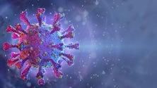 Imagem de Vírus do Sars-Cov-2 já teve 17 mutações (vídeo)