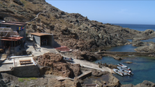 Imagem de Dinamizar as viagens turísticas às Selvagens (vídeo)