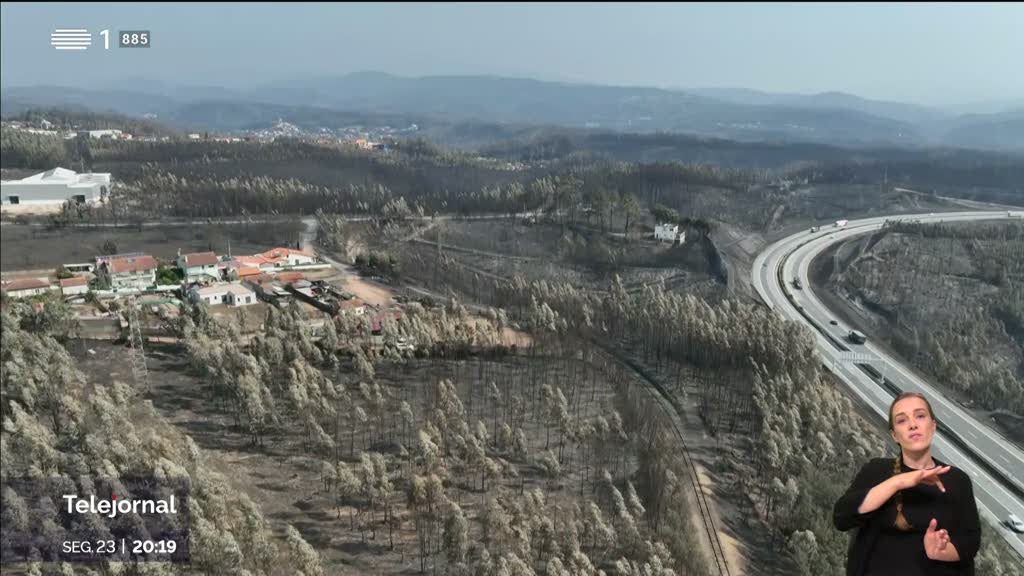 Efeitos dos incêndios. Urgências de Aveiro cheias