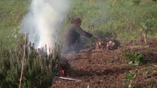 Imagem de Os que ficaram a viver na Fajã dos Rolos (vídeo)