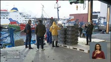 Imagem de Madeira pediu um reforço da quota do peixe-espada-preto (vídeo)