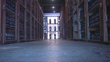 Imagem de Vinho Madeira regista vendas significativas nos primeiros meses do ano (vídeo)